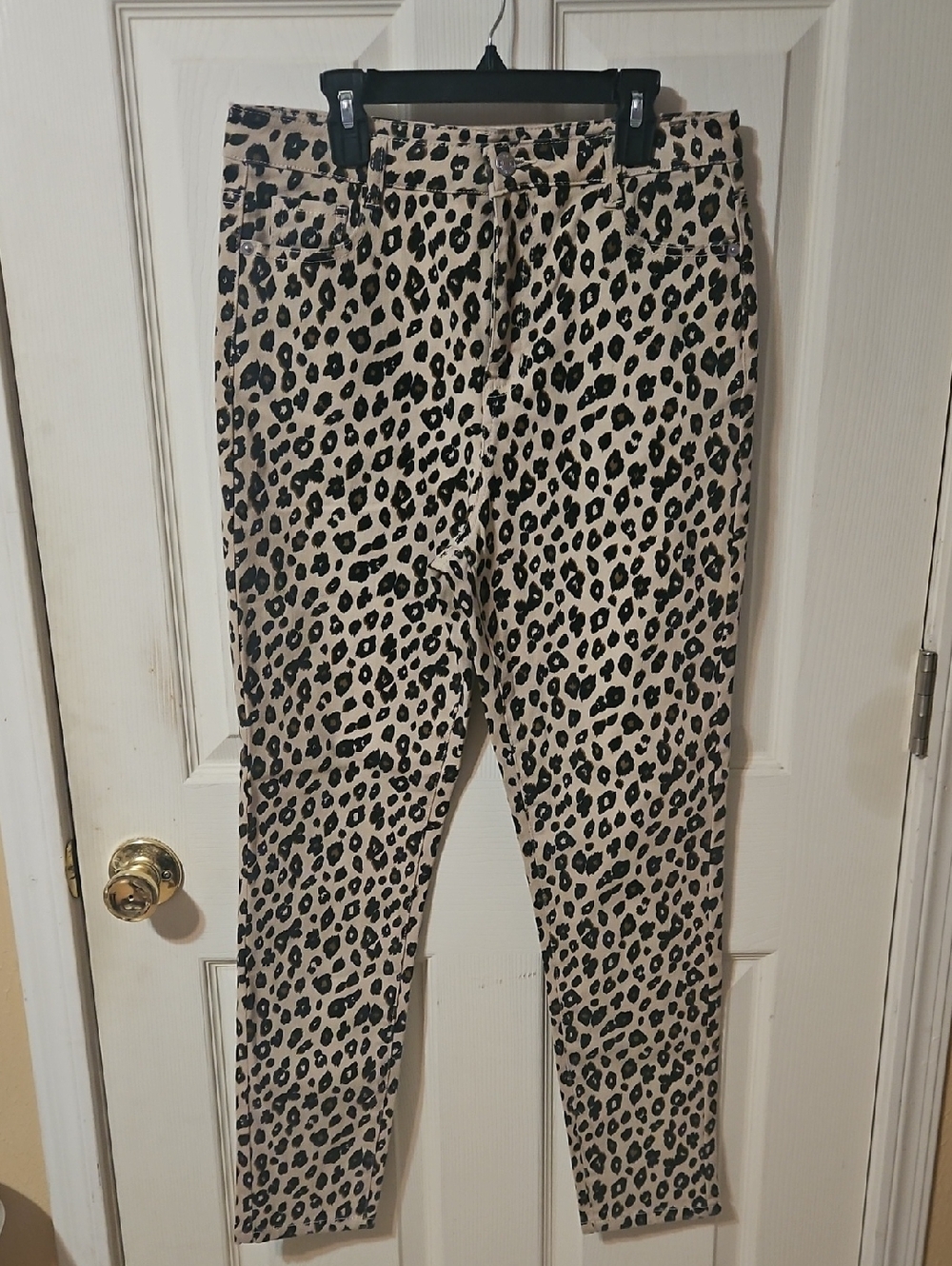Urban Bliss Leopard Print Skinny Pants